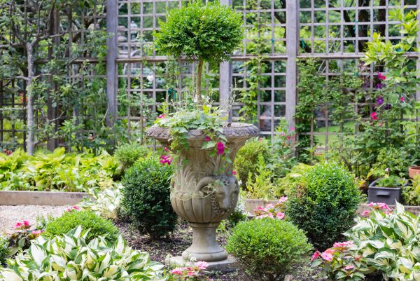 Topiary Pruning in San Marcos