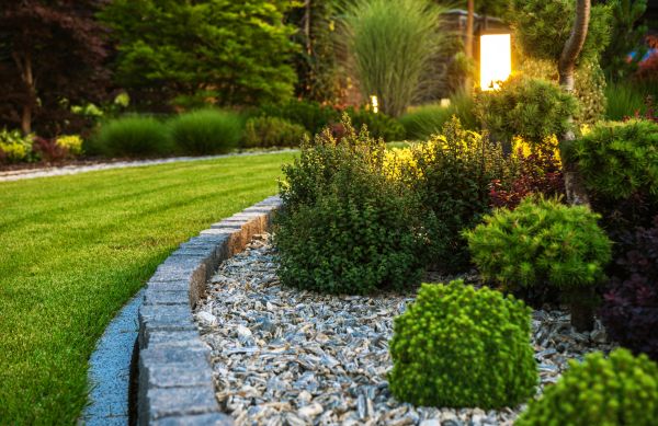 Cost of Bush Relocation in San Marcos