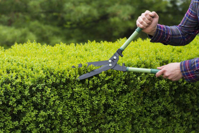 Close-up of Shrub Trimming Tools