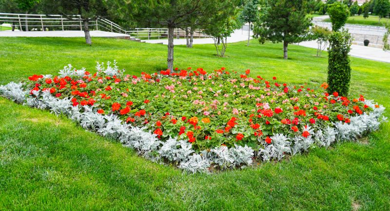 Colorful Flowering Shrubs